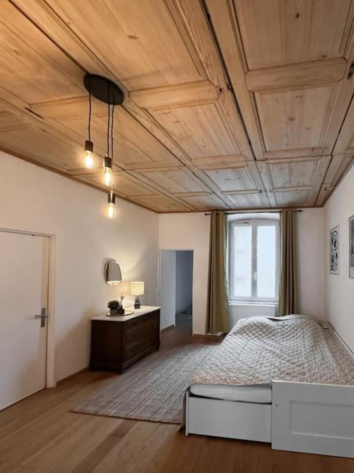 Hypercentre 80M2, A Deux Pas Du Chateau Des Rohan Saverne Exterior foto